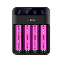 eFest Lush Q4 - Négyágyas Akkumulátor Töltő 2A